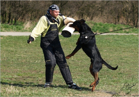 Training in Prague - 2. 4. 2008